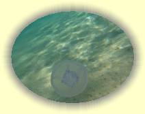 IMG_2007_05_29 16_26_50 * 3072 x 2304 * (609KB)